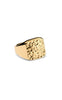Smykkeli Copenhagen Ring - Ebeltoft - Gold Colour