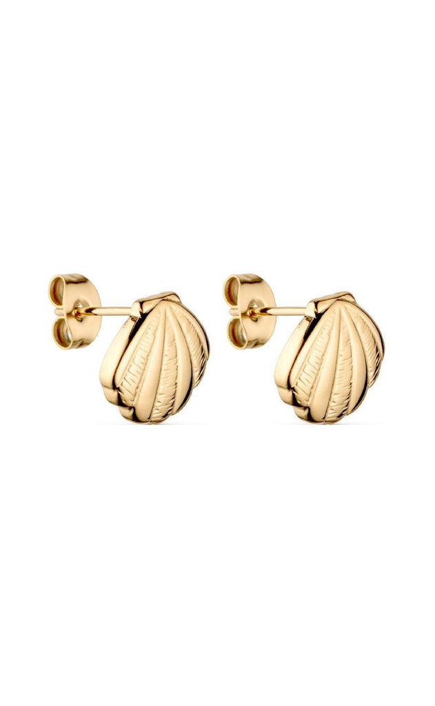 Smykkeli Copenhagen Øreringe - Shell - Gold Colour